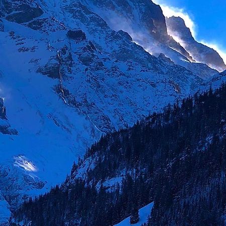 Romantisches Plaetzchen In Der Natur Grindelwald Eksteriør billede