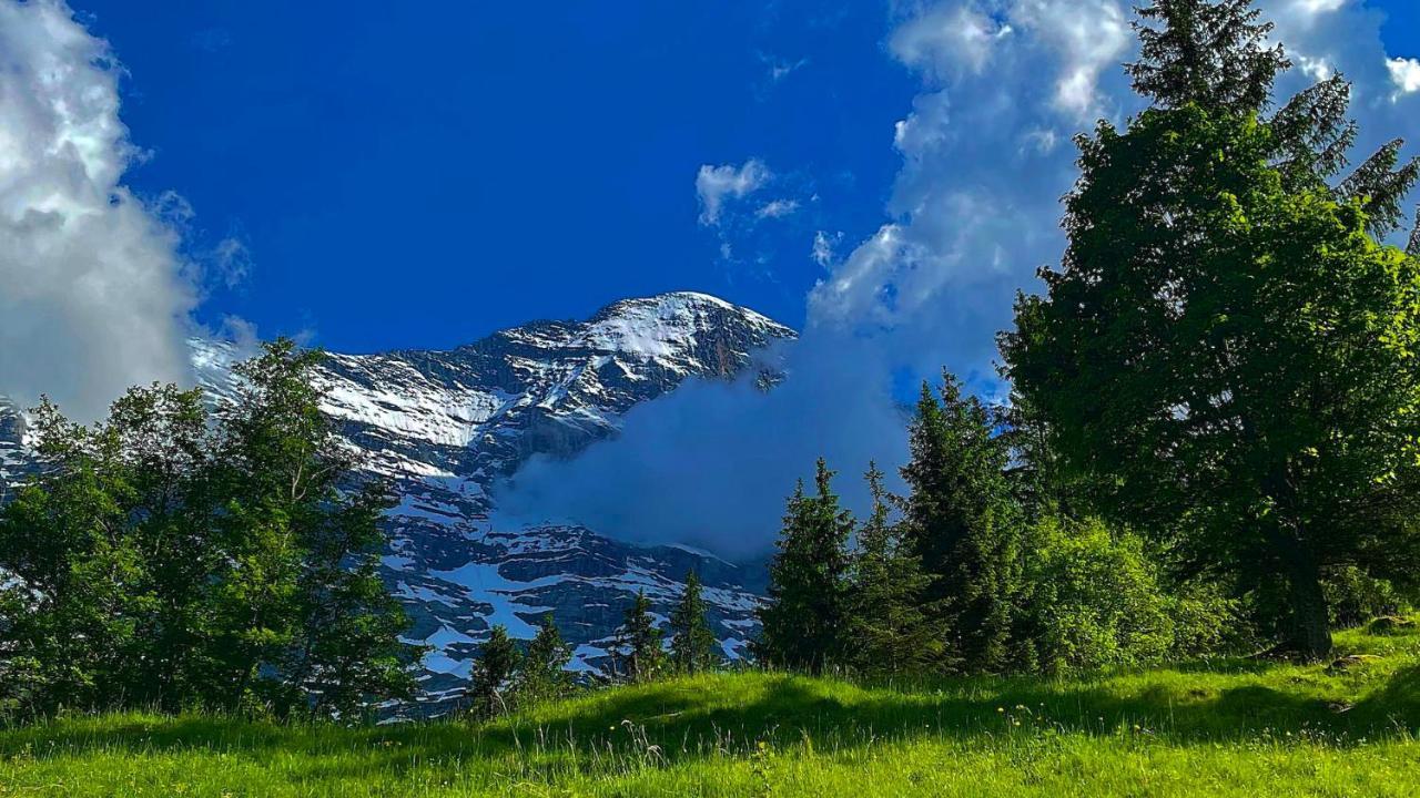 Romantisches Plaetzchen In Der Natur Grindelwald Eksteriør billede
