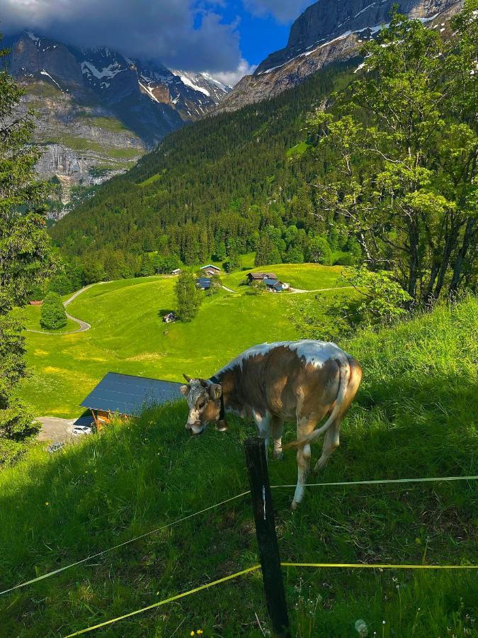 Romantisches Plaetzchen In Der Natur Grindelwald Eksteriør billede