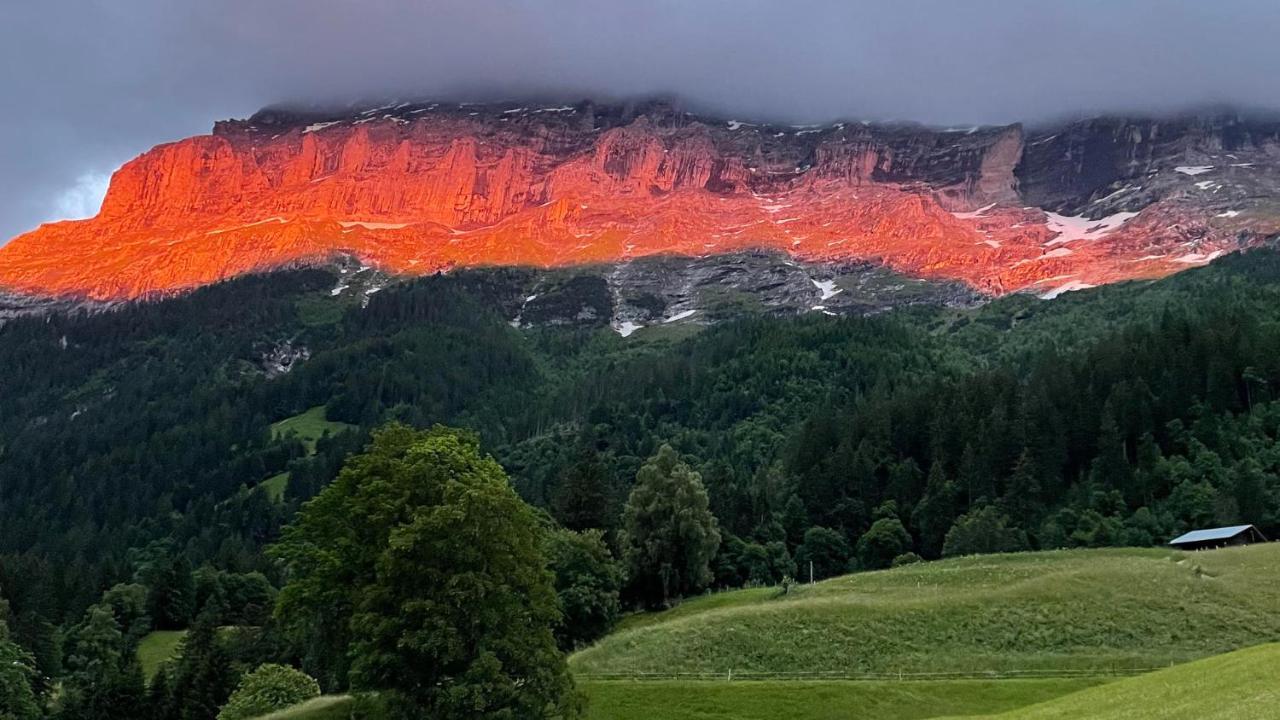Romantisches Plaetzchen In Der Natur Grindelwald Eksteriør billede