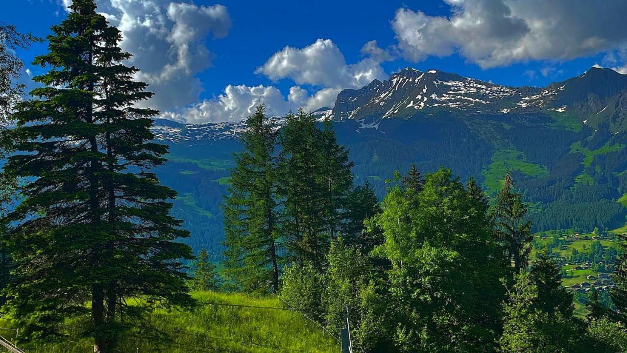 Romantisches Plaetzchen In Der Natur Grindelwald Eksteriør billede