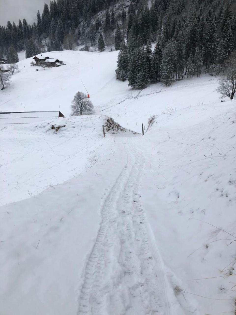 Romantisches Plaetzchen In Der Natur Grindelwald Eksteriør billede