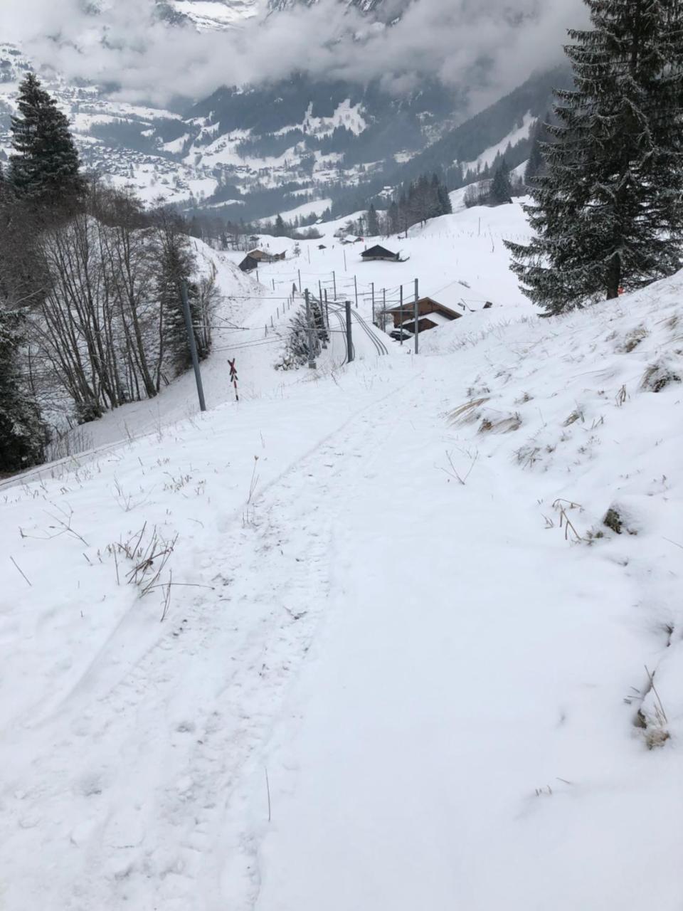 Romantisches Plaetzchen In Der Natur Grindelwald Eksteriør billede