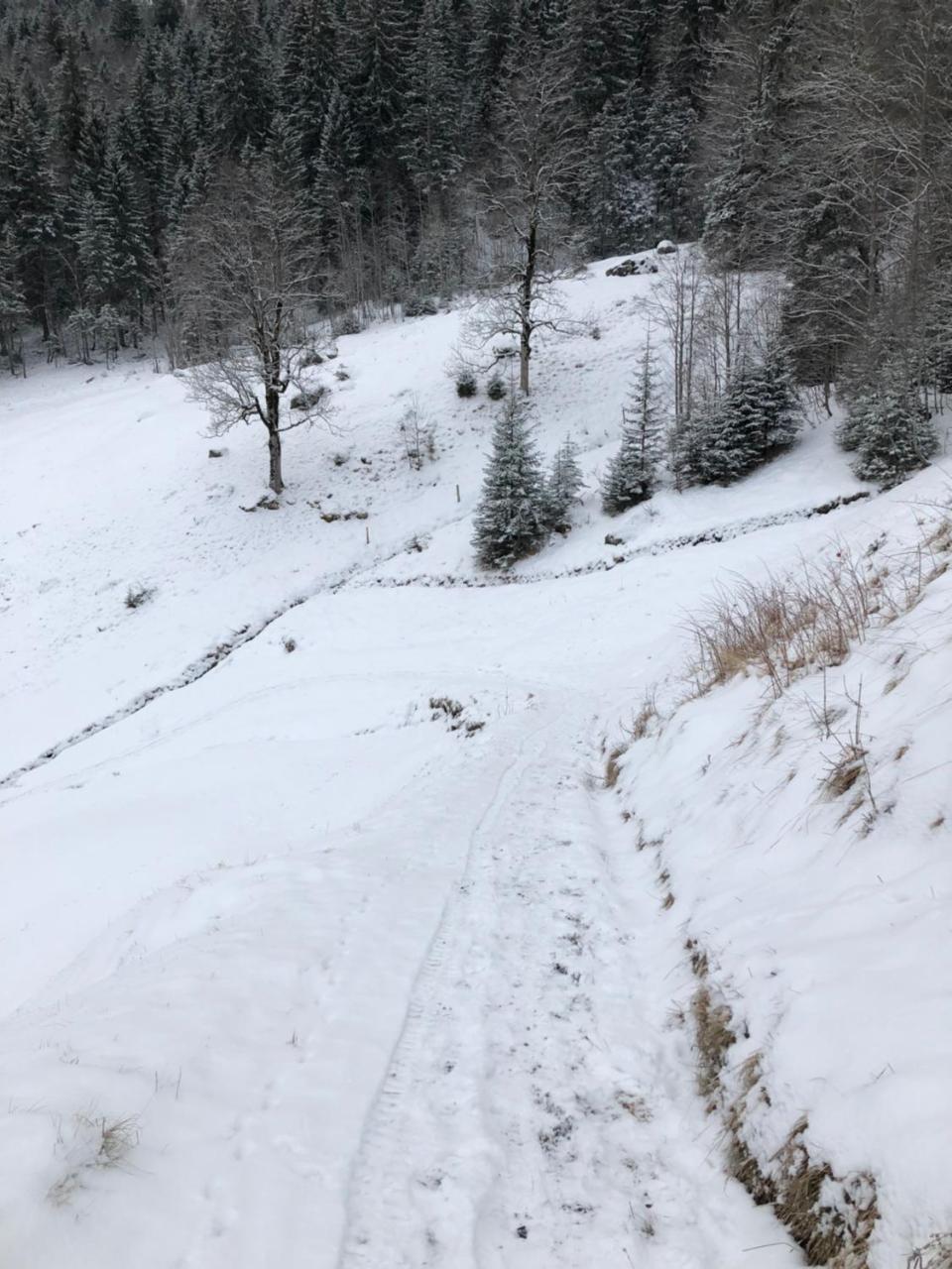 Romantisches Plaetzchen In Der Natur Grindelwald Eksteriør billede