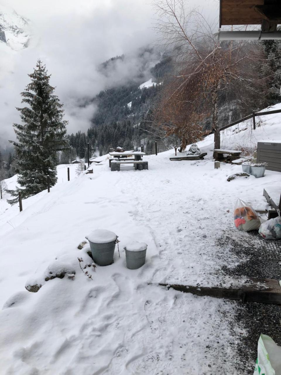 Romantisches Plaetzchen In Der Natur Grindelwald Eksteriør billede