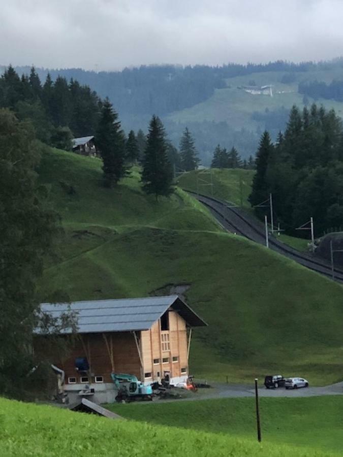 Romantisches Plaetzchen In Der Natur Grindelwald Eksteriør billede